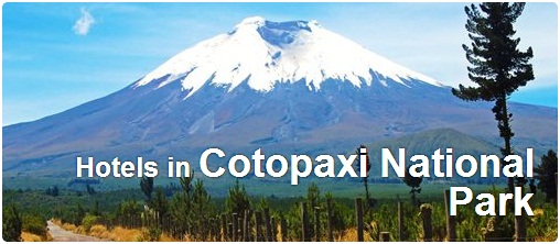 Hotels in Cotopaxi National Park