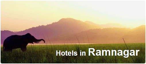 Hotels in Ramnagar