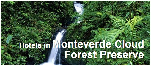 Hotels in Monteverde Cloud Forest Preserve