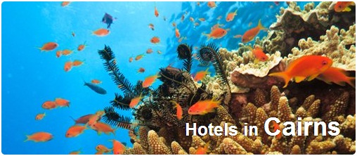 Hotels in Cairns