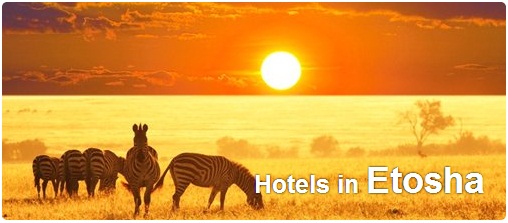 Hotels in Etosha