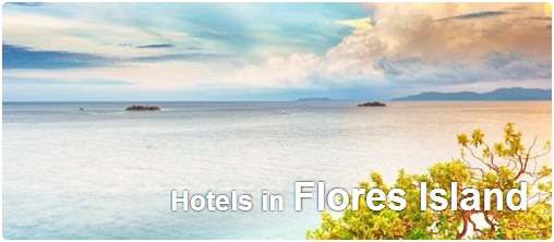 Hotels in Flores Island