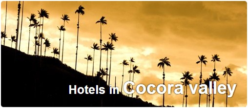 Hotels in Cocora Valley