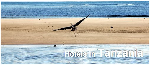 Hotels in Tanzania