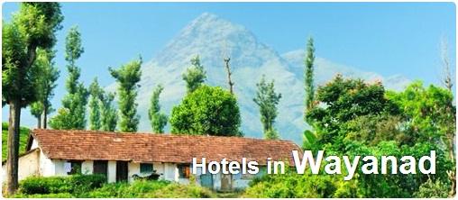Hotels in Wayanad