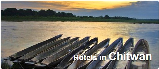 Hotels in Chitwan