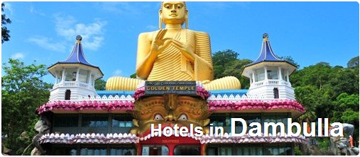 Hotels in Dambulla