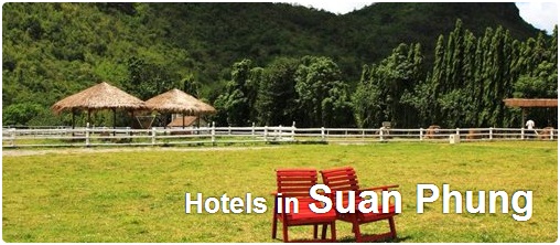 Hotels in Suan Phung