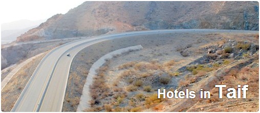 Hotels in Taif