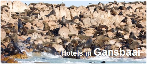 Hotels in Gansbaai