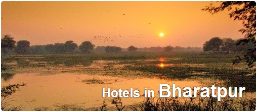 Hotels in Bharatpur