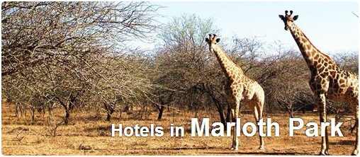 Hotels in Marloth Park